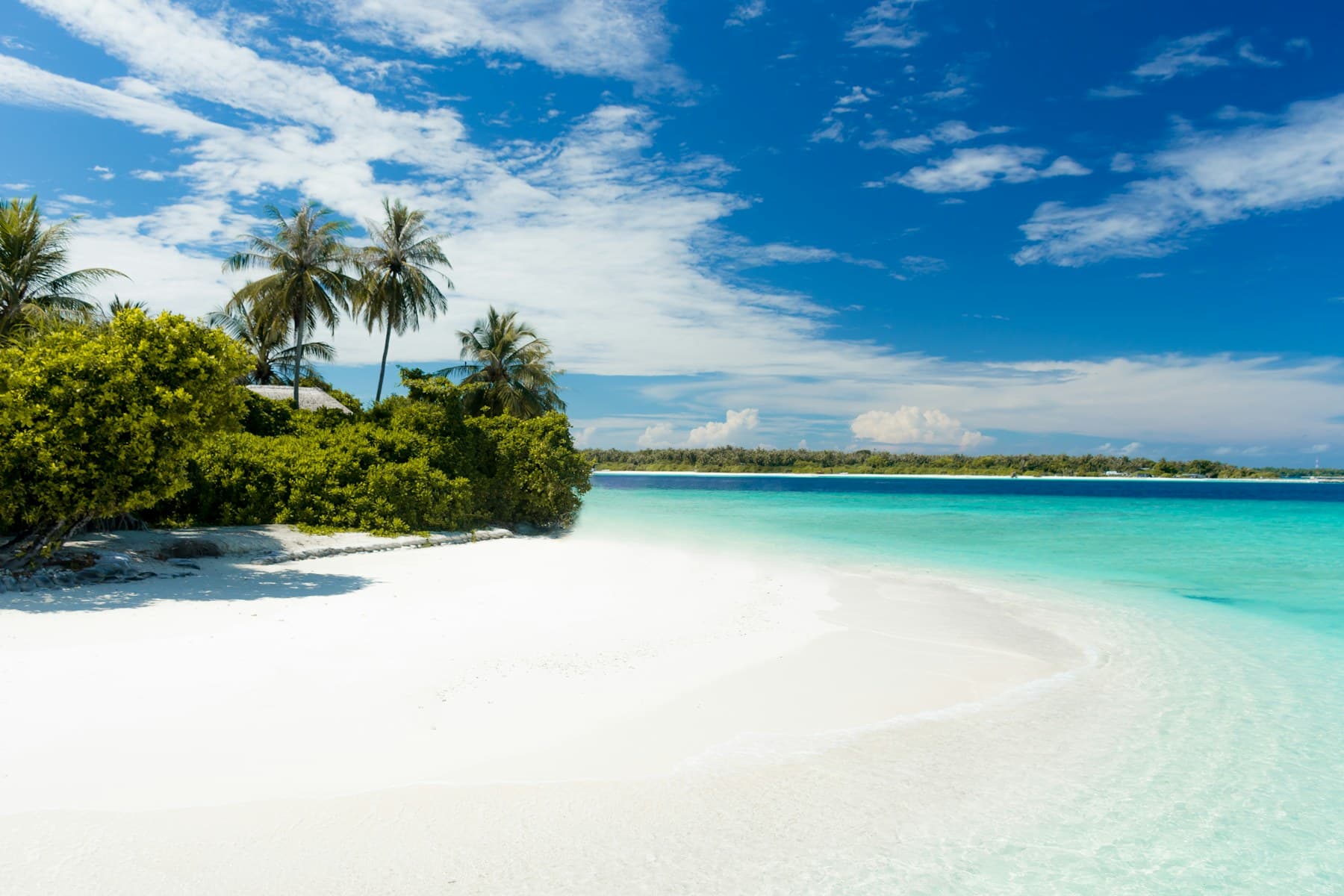 A palm-fringed beach and turquoise lagoon